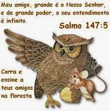 Salmo 147