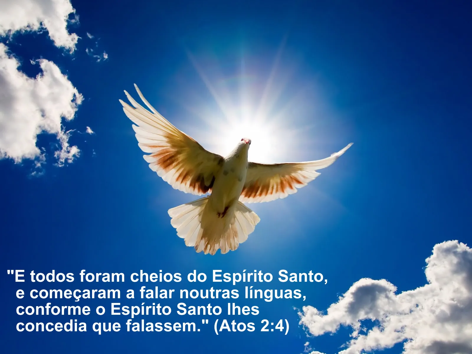 Resultado de imagem para Espirito Santos