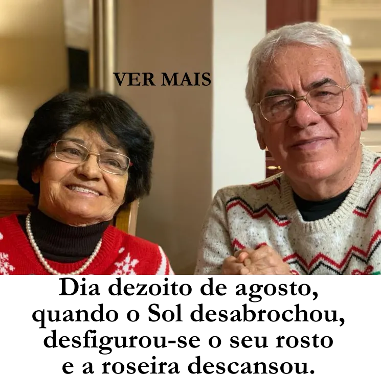 O adeus da roseira  (Ver mais)