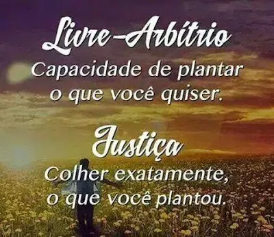 E.S.EB.LA . Coisas do Livre Arbítrio