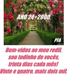 ANO 24+2000 (Ver mais)