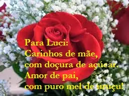 Primeira rosa