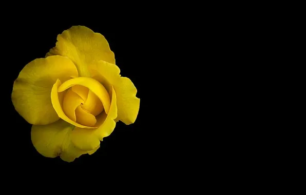 Ausência, romântico algoz