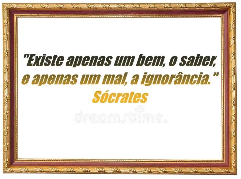 ignorância... errância (Ver mais)