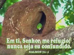 Salmo 71 - Davi
