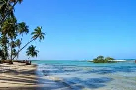 Tamandaré