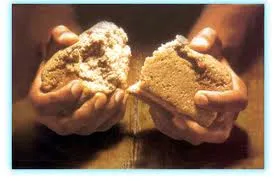 (E) *Grinalda de sonetos – "Evangelismo" – Soneto XIII