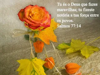 Salmo 77