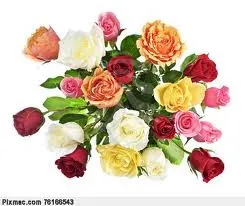 Rosas