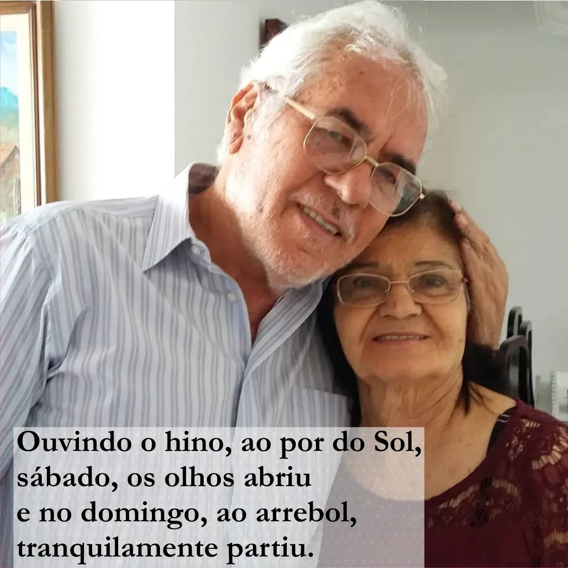 A Roseira e o sábado  (VER MAIS)