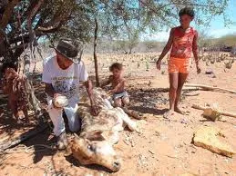 Fome no sertão