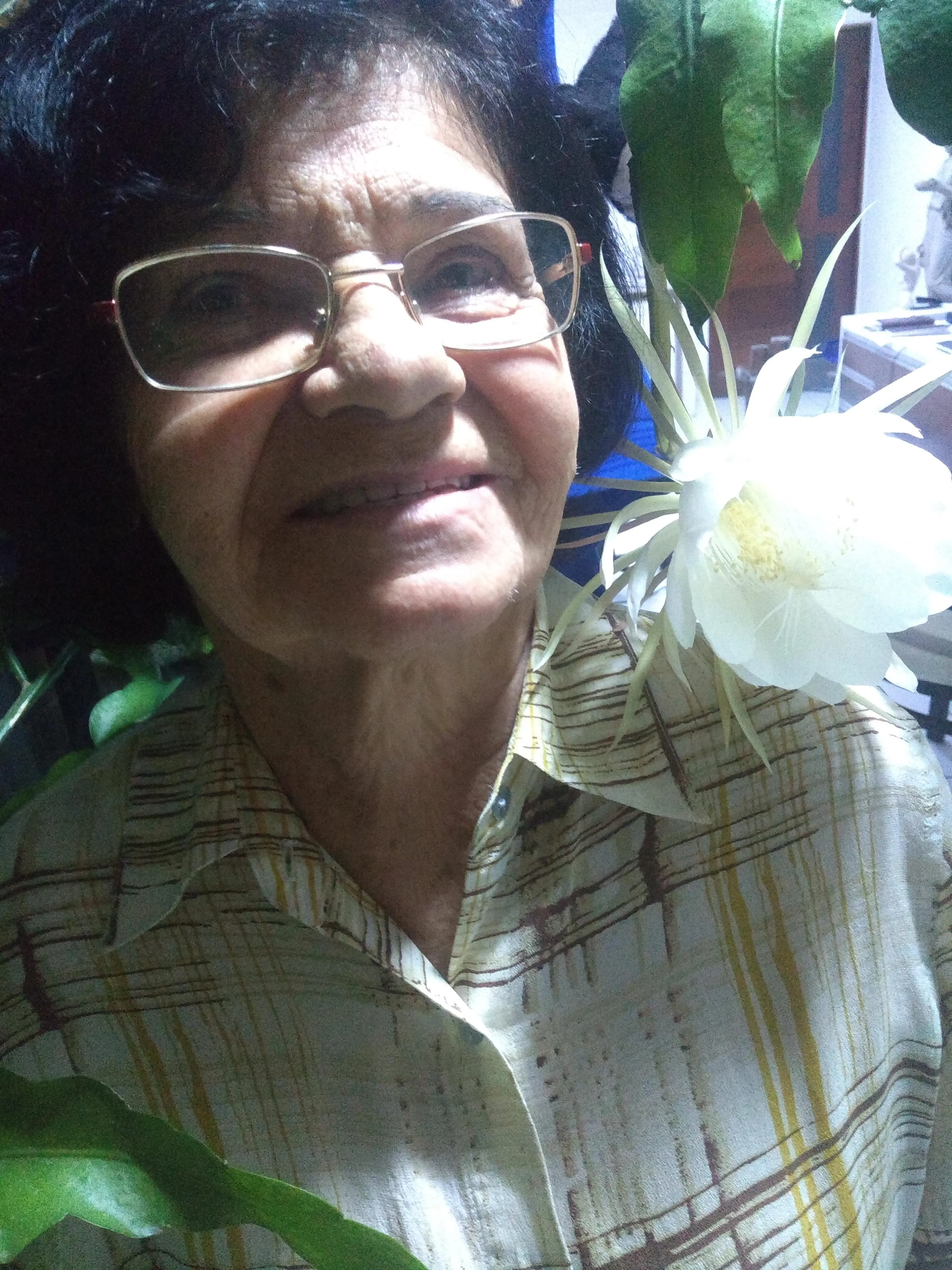 Aniversário - Regalo