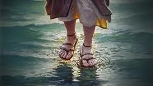 O Caminho das pedras