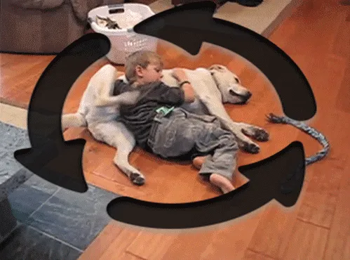 Resultado de imagem para reciprocidade gif