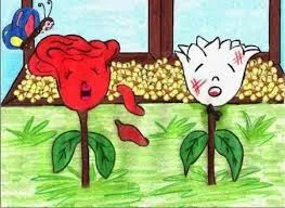 A rosa e o cravo
