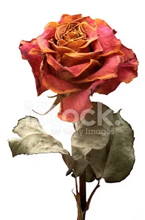 Grinalda de sonetos - Fantasias I