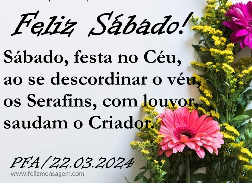 Sábado festivo (Ver mais)