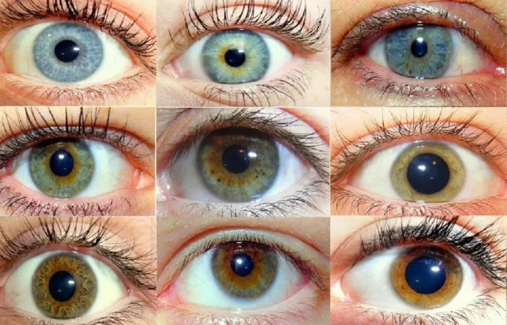 Olhos verdes, azuis... (Ver mais)