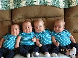 (F) Perfeitos homônimos filosóficos