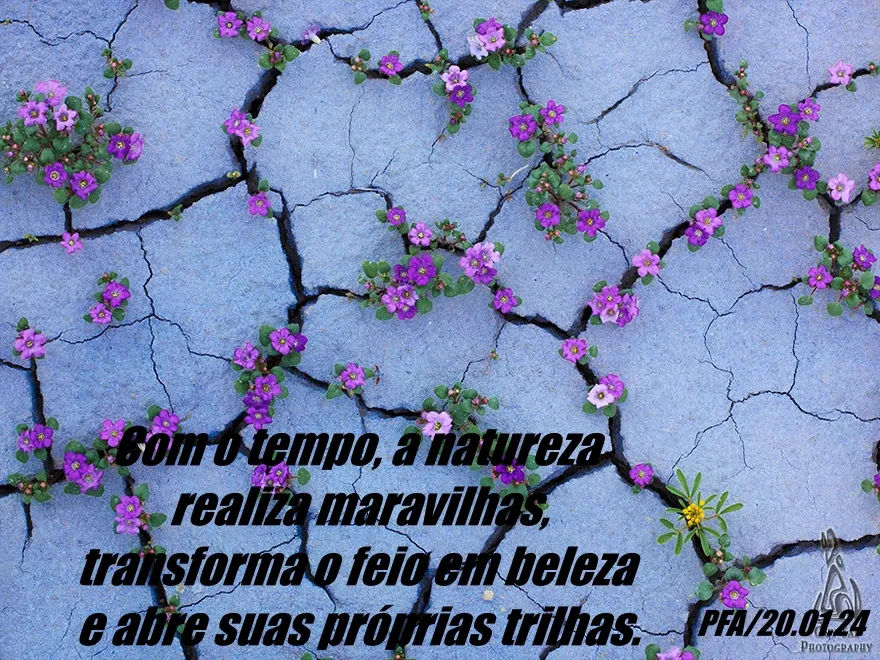 A natureza e o tempo (Ver mais)