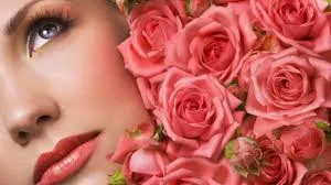 Mulher: mãe, irmã, esposa, filha...