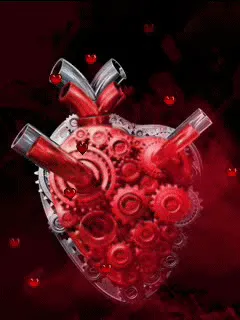 Sinto muito (Ver mais)