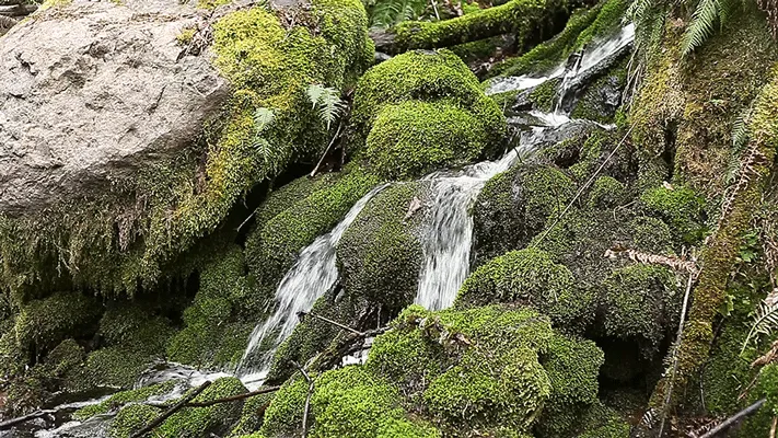 Autoavaliação (Ver mais)