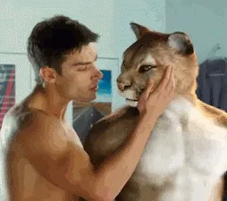 Reinos  da natureza (Ver mais)