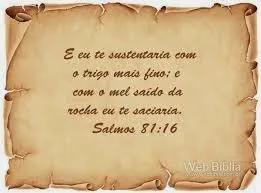 Salmo 81